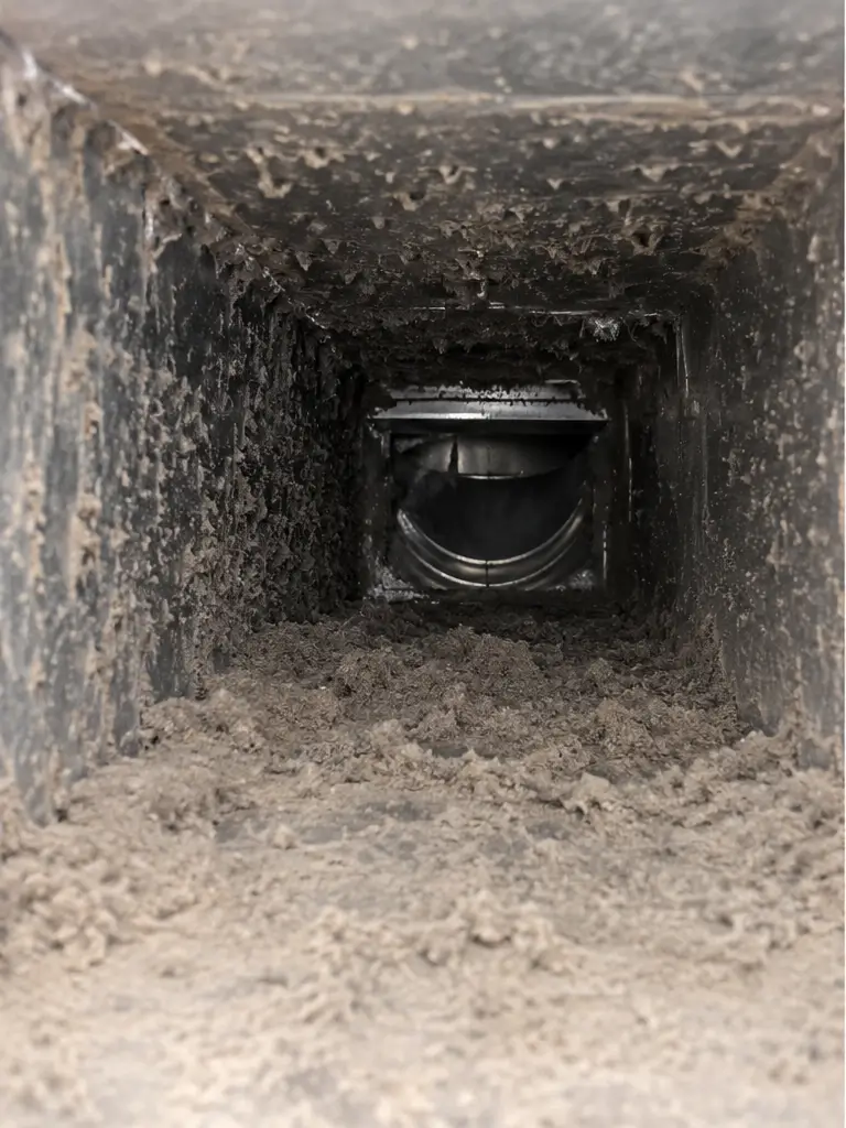 Air duct cleaning